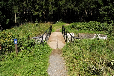 Pixhaier Teich (2) Buntenbock Oberharzer Wasserwirtschaft Bilder